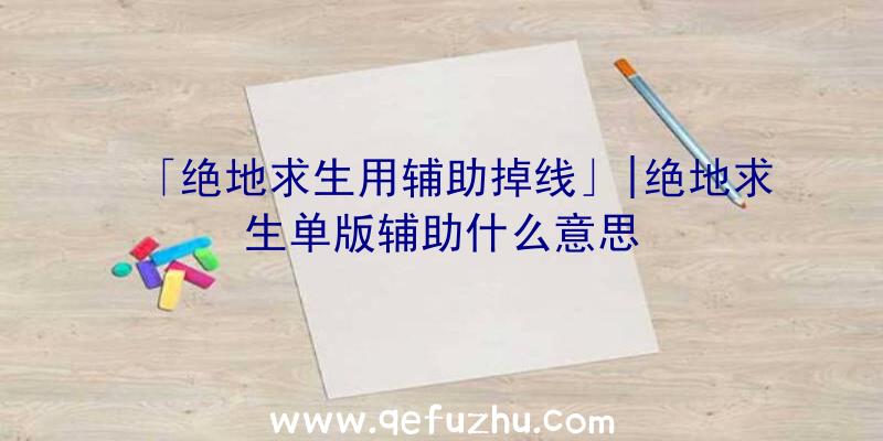 「绝地求生用辅助掉线」|绝地求生单版辅助什么意思